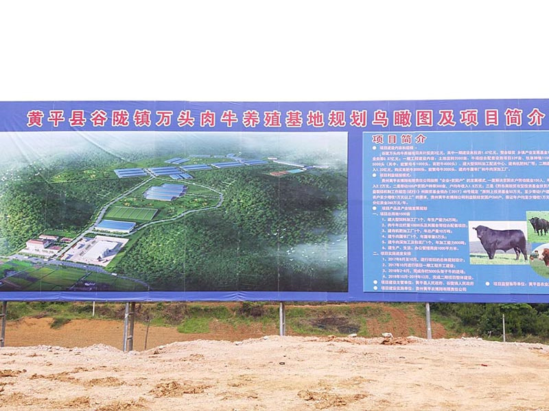 貴州黃平縣萬頭肉牛養(yǎng)殖基地