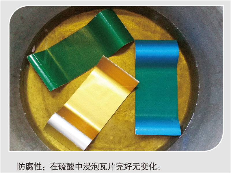 防腐蝕(硫酸泡)